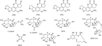 Development and Comparison of Two Multiresidue Methods for the Determination of 17 Aspergillus and Fusarium Mycotoxins in Cereals Using HPLC-ESI-TQ-MS/MS